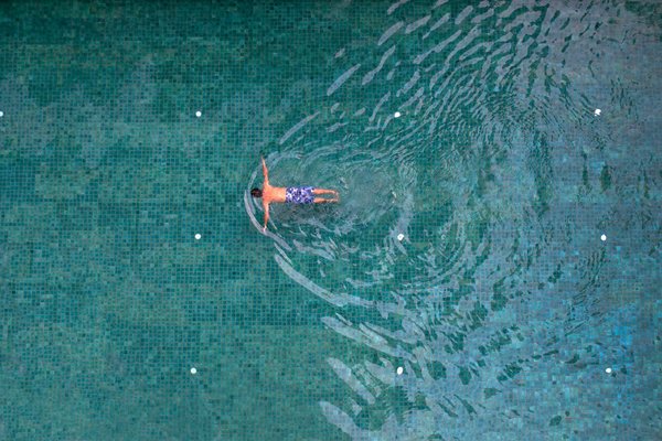 Prévenir les frelons : astuces pour sauvegarder vos abeilles !